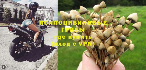 соль ск Алексин